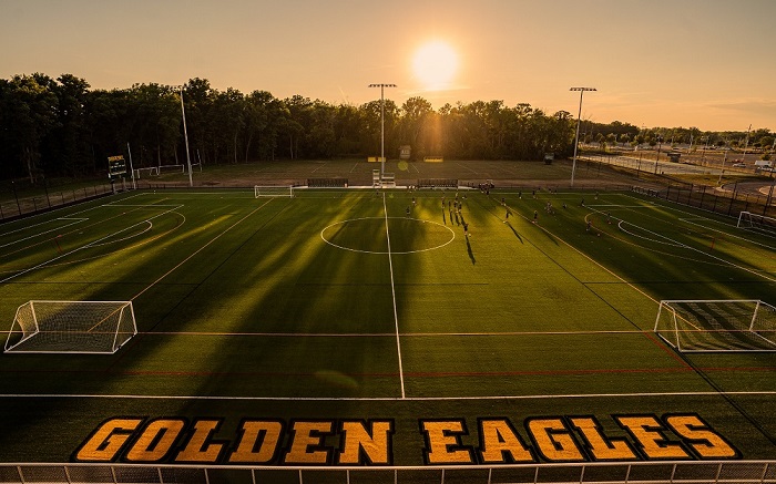 Linda Arena Field